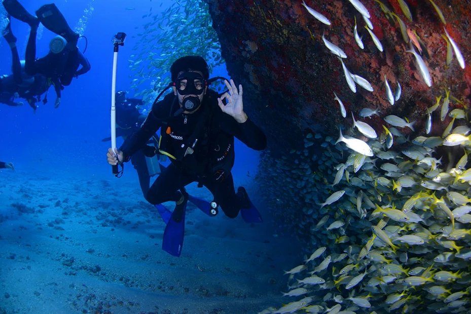 Marine diving special waterproof phone case